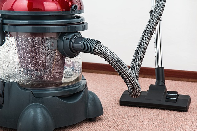 carpet cleaning category